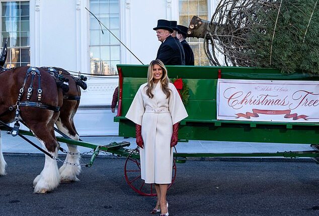 Melania Trump looked effortlessly chic as she stepped out to receive this year's White House Christmas tree
