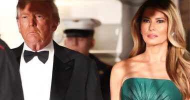 First Lady Melania Trump stunned in a strapless emerald dress - to match Saudi Arabia's flag - as she joined President Donald Trump in hosting Saudi Crown Prince Mohammed bin Salman for an ornate dinner in the East Room Tuesday night. The first lady joined Trump at the White House as he announced that Saudi Arabia would be elevated to 'major non-NATO ally' and that a strategic defense compact had been signed. That distinction has only been given to 20 countries, as well as Taiwan. He also lauded the crown prince for pledging to invest $1 trillion in the U.S.