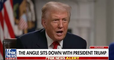 Trump promoted a post claiming that Obama should be in prison for creating the 'fake Russian Collusion story'