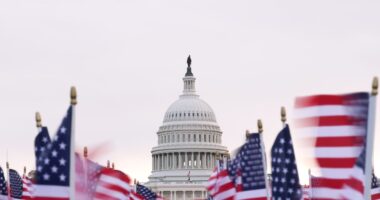 Midterm elections are coming in 2026. Here’s what 100 years of data tell us about how stocks may react.