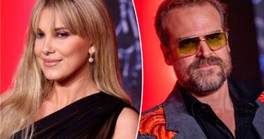 Millie Bobby Brown allegedly accused David Harbour of bullying