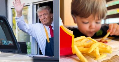 The Golden Arches stands to lose its super-sized government windfall under a plan from a senior Republican Senator. It's an ironic twist for the fast-food giant that became a 2024 campaign icon after Donald Trump's viral shift behind the counter helped him gain blue-collar street cred. Trump has long loved the fast-food chain, praising its $5 extra value meals and thanking the restaurant for slashing its prices. Trump even spoke at the McDonald's Impact Summit earlier this week, where he remarked he was 'honored to stand before [the audience] as the very first former McDonald's fry cook ever to become president of the United States.'