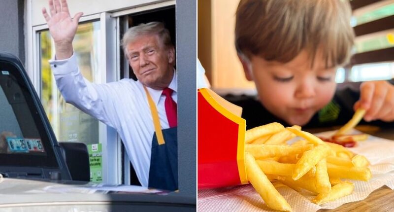 The Golden Arches stands to lose its super-sized government windfall under a plan from a senior Republican Senator. It's an ironic twist for the fast-food giant that became a 2024 campaign icon after Donald Trump's viral shift behind the counter helped him gain blue-collar street cred. Trump has long loved the fast-food chain, praising its $5 extra value meals and thanking the restaurant for slashing its prices. Trump even spoke at the McDonald's Impact Summit earlier this week, where he remarked he was 'honored to stand before [the audience] as the very first former McDonald's fry cook ever to become president of the United States.'