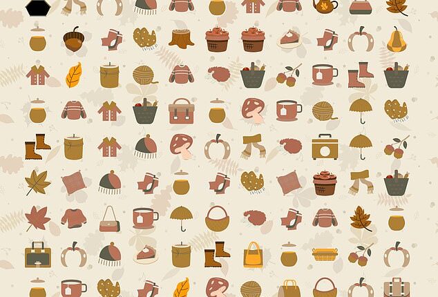 Calling all fashion fanatics! If you think you've got an eye for detail and an appetite for problem solving, it is time to put those to the test