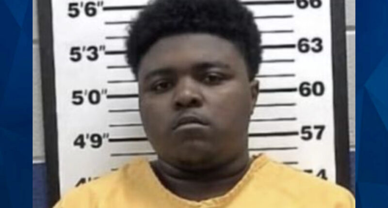 Mississippi Teen Confesses to Beating Grandmother to Death