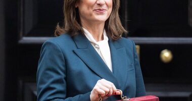 'Disingenuous': Rachel Reeves said she would 'introduce permanently lower tax rates' for more than 750,000 retail, hospitality and leisure properties