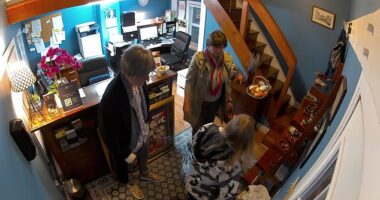 This is the moment a British holidaymaker allegedly posed as a wealthy wine connoisseur to steal £30,000 of fine wine