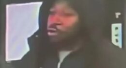 Anthony Williams, 32, has appeared in court accused of a knife rampage onboard a high-speed train bound for London