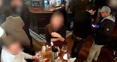 CCTV captured the chillingly slick theft as a group sat eating and drinking, blissfully unaware they were being targeted.