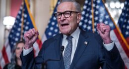 Moreno Showed Schumer His Shutdown Proposal Has More Holes Than Swiss Cheese