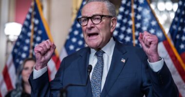 Moreno Showed Schumer His Shutdown Proposal Has More Holes Than Swiss Cheese
