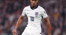 Jude Bellingham came on and sprinkled stardust across Wembley at No 10 against Serbia