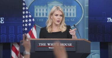 Mother of Press Secretary's Nephew Detained by ICE – HotAir