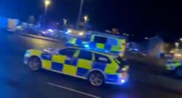 Multiple people stabbed on train as terrified passengers are forced to hide in toilet during knife rampage