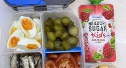 A mum has divided parents online after sharing a photo of her sons' 'after swimming' lunchboxes - packed with boiled eggs, cut-up pickles, sardines, sliced tomatoes, raspberry yoghurt and macadamias