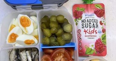 A mum has divided parents online after sharing a photo of her sons' 'after swimming' lunchboxes - packed with boiled eggs, cut-up pickles, sardines, sliced tomatoes, raspberry yoghurt and macadamias