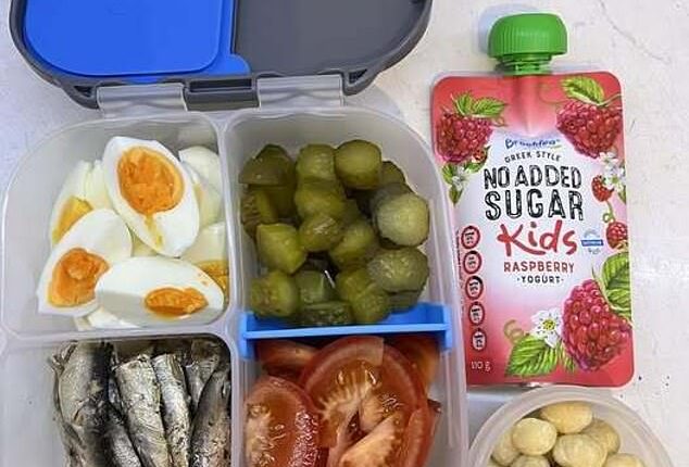 A mum has divided parents online after sharing a photo of her sons' 'after swimming' lunchboxes - packed with boiled eggs, cut-up pickles, sardines, sliced tomatoes, raspberry yoghurt and macadamias