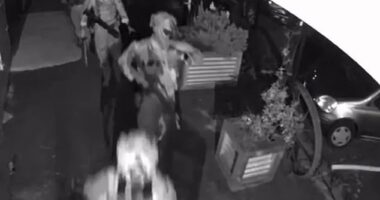 Heavily armed officers believed to be from the AFP's Tactical Response Team raided a property on Wednesday in country Victoria