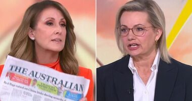 Nat Barr has confronted Sussan Ley over reports that a growing number of moderate Liberal MPs are withdrawing their support for her and instead backing Andrew Hastie as the next leader