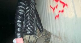 Michail Chkhikvishvili, a 22-year-old Georgian national who is also known as 'Commander Butcher', pleaded guilty to soliciting hate crimes and providing bomb making instructions in a Brooklyn federal courthouse on Monday