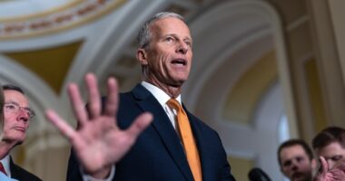 New Deal Emerges to End the Schumer Shutdown, White House Signals Support – RedState