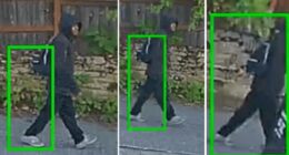 The suspect, described as a man in his 30s, targeted the elderly woman as she cleaned household items on her back porch