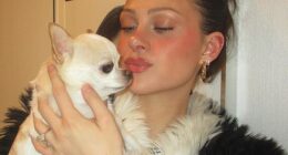 Nicola Peltz claims her beloved chihuahua Nala was left injured and in severe physical distress after a routine grooming at HoundSpa's mobile van in Bedford, New York last year