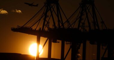 No jobs report again. But these numbers show how the U.S. economy is doing.