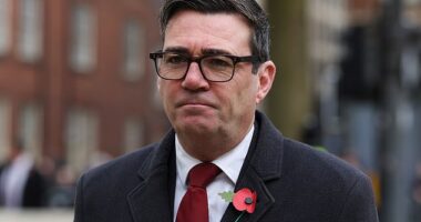 Andy Burnham has insisted that 'not a penny' of public money will be spent on Manchester United 's proposed 100,000-seater stadium