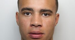 Pictured: Harrison Sullivan, 24, a TikTok influencer who was wanted for failing to appear at court in relation to several driving offences in Virginia Water, Surrey last March