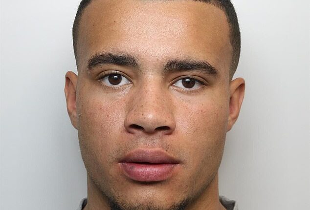 Pictured: Harrison Sullivan, 24, a TikTok influencer who was wanted for failing to appear at court in relation to several driving offences in Virginia Water, Surrey last March