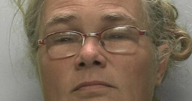 Nicoline Julius, 54, formerly of Zutphen in the Netherlands, sent repeated messages and ignored court orders to stop pestering the Teignmouth-based family