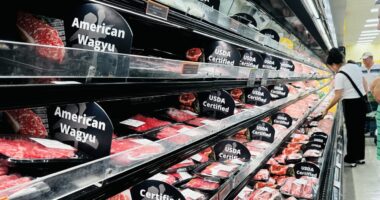 October CPI canceled and November inflation report pushed back until after Fed’s next big interest-rate vote