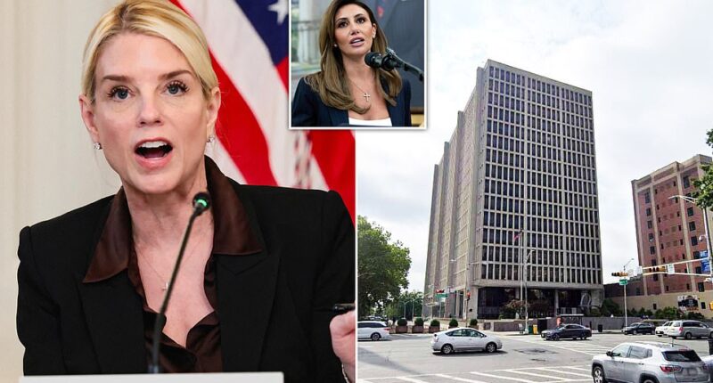 Attorney General Pam Bondi is putting federal law enforcement to work looking for an individual who 'threatened' acting New Jersey Attorney Alina Habba. An unidentified and at-large suspect tried to 'confront' Habba on Wednesday night, Bondi detailed in a post to X. She said that the individual 'destroyed property' and promised her office would 'find this person.' 'I will not be intimidated by radical lunatics for doing my job,' Habba wrote in an X post about the incident.