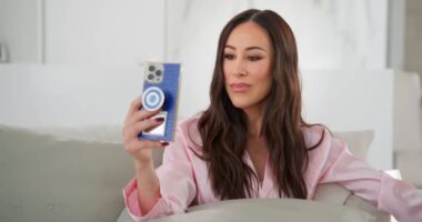 Peacock's Wife Swap Revitalizes The Real Housewives Franchise