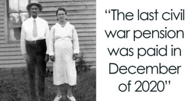 People Are Sharing Their Favorite True Facts That Make Others Question If They’re Real