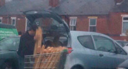 People Aren’t Losing Their Sense Of Humor During The Coronapocalypse And Here’s 30 Pics To Prove It (New Pics)