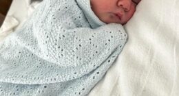 Nine-month-old Jonte William Bluck died from bite wounds from XL Bully dog, inquest was told