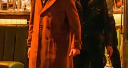 Pierce Brosnan has reconciled with his estranged son Christopher, 20 years after the actor revealed he had cut him off over his refusal to kick his drug habit; pictured left to right - Christopher, Pierce and Dylan