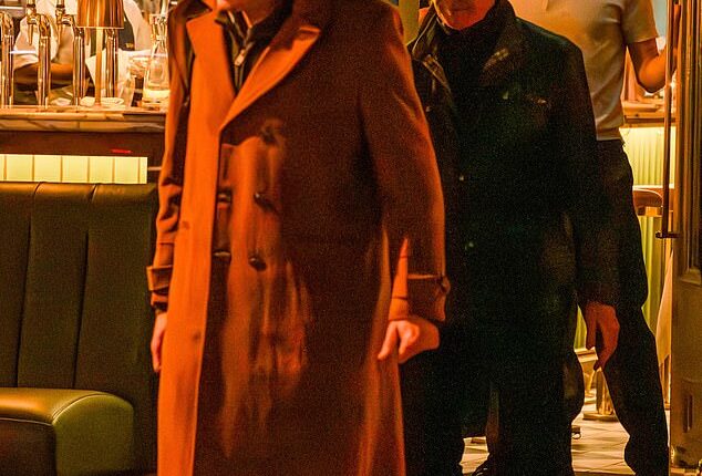 Pierce Brosnan has reconciled with his estranged son Christopher, 20 years after the actor revealed he had cut him off over his refusal to kick his drug habit; pictured left to right - Christopher, Pierce and Dylan