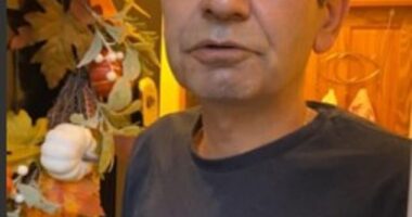 Iranian national Akbar Aghgaleh, 61, erupted in rage aboard an Air Canada flight from Montreal to Heathrow