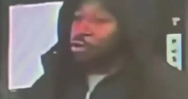 Anthony Williams, 32, has appeared in court accused of a knife rampage on board a high-speed train bound for London