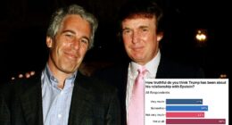 The majority of Americans think Donald Trump is lying about details of his relationship with disgraced financier and convicted sexual offender Jeffrey Epstein . A combined 56 percent of voters told the Daily Mail/JL Partners in a new poll this month that they think Trump has not been truthful about his relationship 'at all' or at the very least 'not very much.' Another 24 percent think he's been 'somewhat' truthful and the smallest number of respondents at 21 percent say he's been 'very much' truthful.