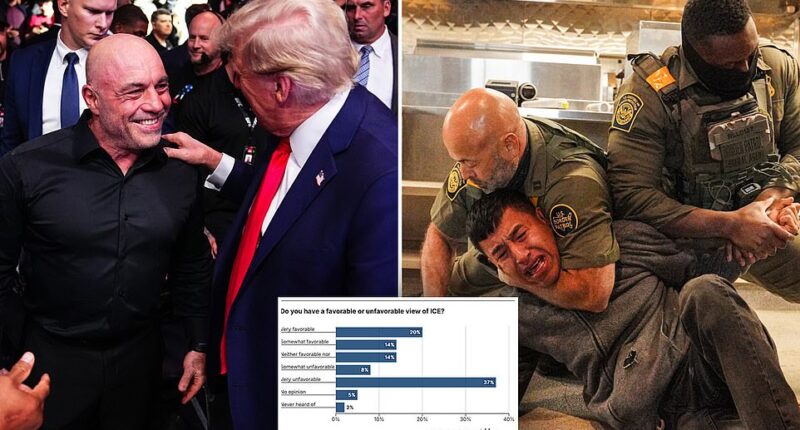 Americans have an increasingly negative view of Immigration and Customs Enforcement's hawkish operations, which have become a dominant feature of Donald Trump's second term. ICE - the Department of Homeland Security's enforcement agency - has only a 34 percent approval rating, according to a new poll from Daily Mail/JL Partners – a four point drop from October. Forty-five percent of the 1,246 registered voters surveyed online disapprove of the agency.