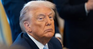 Donald Trump's 'golden age' has hit a second term slump with a slew of warning signs flashing red for his administration - even on issues that helped him secure re-election a year ago. The president's approval rating is down to 45 percent, according to the Daily Mail/JL Partners latest exclusive polling. That's a drop of six points from the previous survey and 10 point drop over the last two months. Many of the elements that once made Trump - who has declared as recently as last week that his presidency will mark the dawn of a new 'golden age' - so appealing to voters now appear to be the reasons why they are abandoning him.