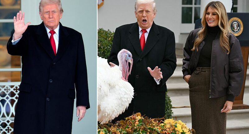 While Thanksgiving Dinner may be the one time partisan politics is avoided like grandma's lumpy gravy, there's always a debate over who gets an invitation to the table at all. New polling data reveals the ultimate holiday hierarchy: Donald Trump is the choice for Americans' dream Thanksgiving guest. An analysis of new polling data from Daily Mail and J.L. Partners shows that Americans chose Trump over Barack Obama. Out of 841 total responses, Trump was chosen by 24 percent of respondents, while Obama was chosen by 15 percent.
