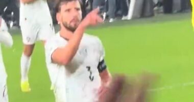 Portugal IMPLODE in Ireland: Furious Bernardo Silva and Ruben Dias clash with their own fans as boss Roberto Martinez blames opponents for Cristiano Ronaldo's violent red card