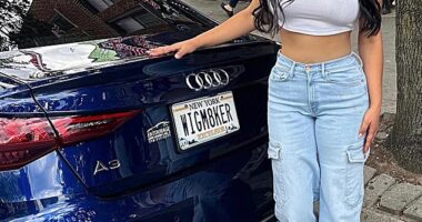 Miriam Yarimi, 33, a glamorous New York City wigmaker pleaded guilty last month to manslaughter charges in a horrific crash on March 29