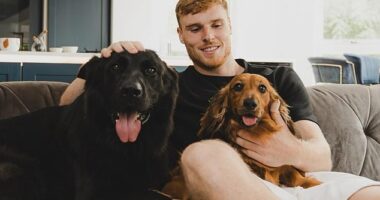 Jake O'Brien has joined a long list of footballers who have invested in a protection dog