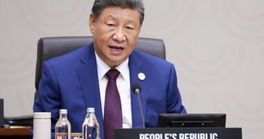 For a moment, it looked like President Trump and China President Xi Jinping (pictured) had buried the hatchet at APEC. Then, just as eyes turned away from the Korean summit, Xi picked up an ax. Trump celebrated his high-profile breakthrough with Beijing as a victory on tariffs, a promise of massive soybean purchases and an agreement to stop the flow of the chemicals that fuel fentanyl. But by the next day, the smiles had vanished as Xi used his closing remarks to take an unmistakable swipe at his American rival.